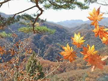 大气采样器使用步骤详解