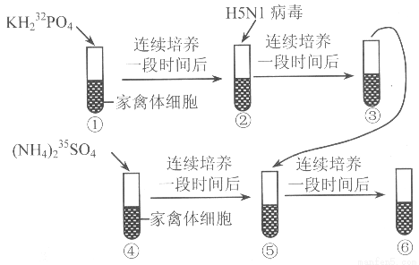 发泡实验操作