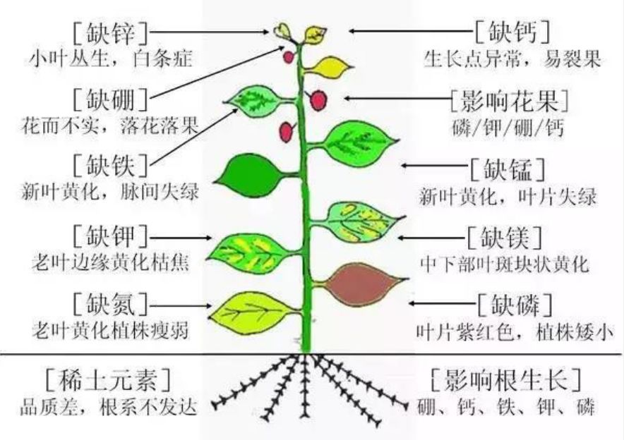 重氮化合物容易爆炸吗