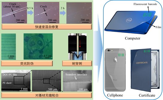 美洲豹与防静电椅与硅橡胶的应用领域的关系是什么