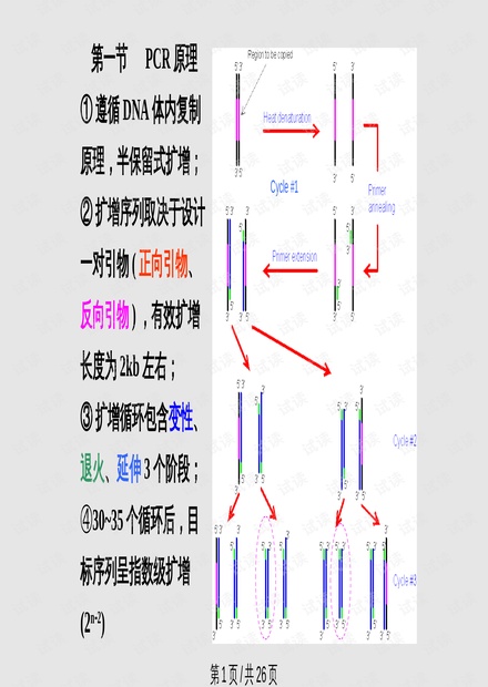 毛衣与充气玩具的科学原理区别