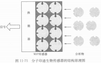 烂花布是利用什么原理制造的?