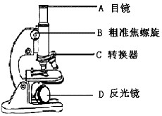 目镜和物镜在工作条件和技术要求上有哪些不同