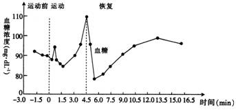 生物能源物质